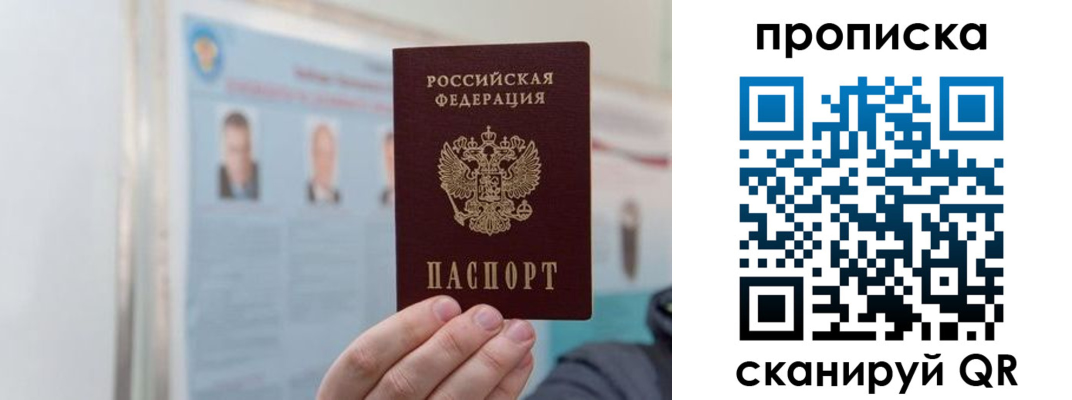 прописка 2025 в Палласовке